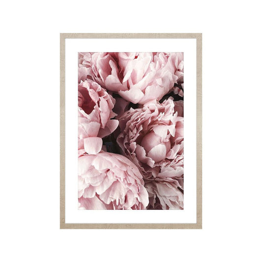 Obraz w ramie, 50 x 70 cm, peonie